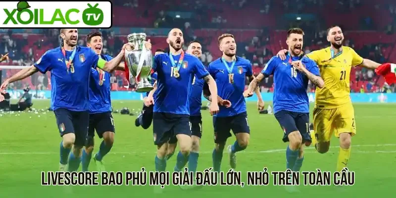 Livescore bao phủ mọi giải đấu lớn, nhỏ trên toàn cầu