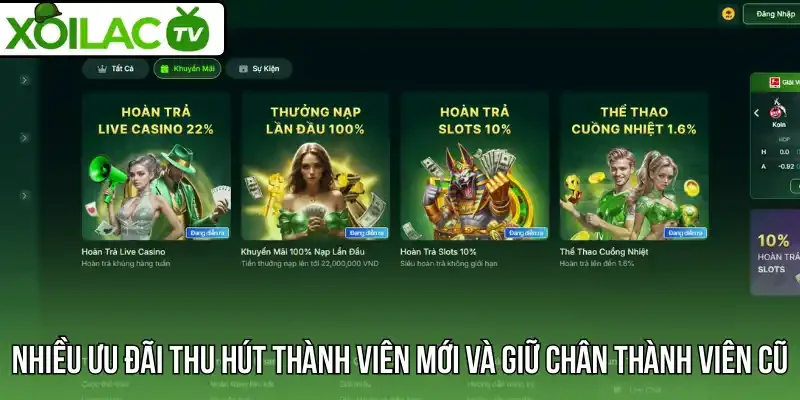 Nhiều ưu đãi thu hút thành viên mới và giữ chân thành viên cũ