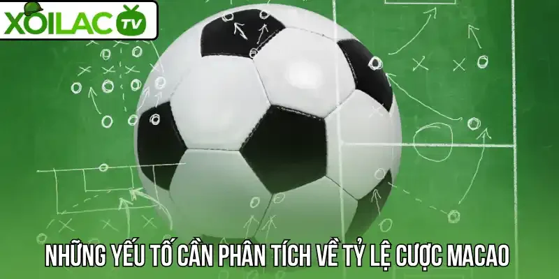 Những yếu tố cần phân tích về tỷ lệ cược Macao 