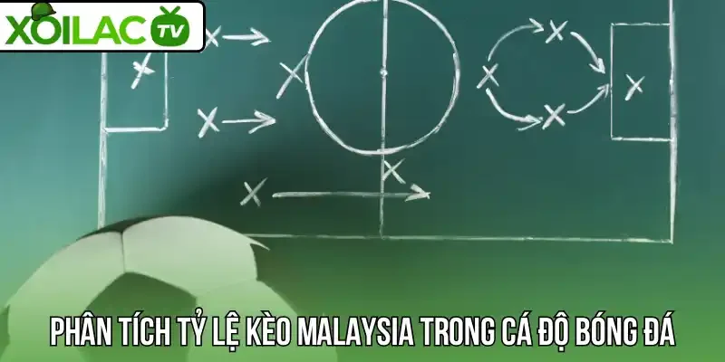 Phân tích tỷ lệ kèo Malaysia trong cá độ bóng đá