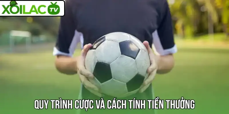 Quy trình cược và cách tính tiền thưởng