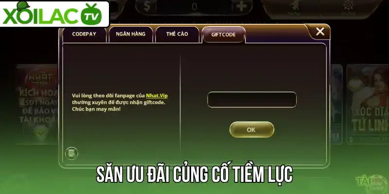 Săn ưu đãi củng cố tiềm lực