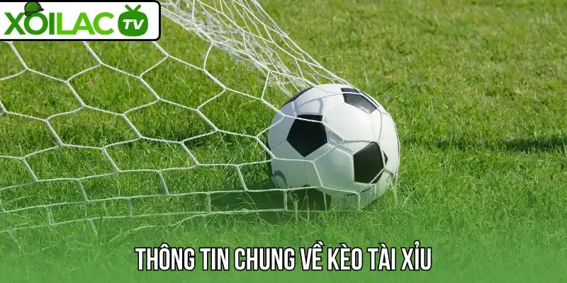 Thông tin chung về kèo tài xỉu