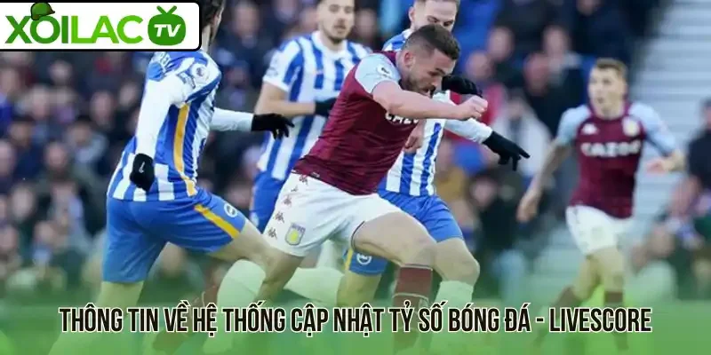 Thông tin về hệ thống cập nhật tỷ số bóng đá - Livescore