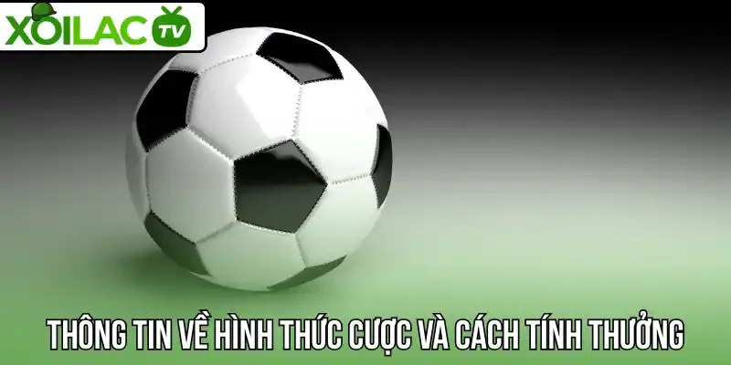 Thông tin về hình thức cược và cách tính thưởng