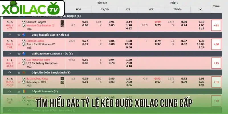 Tìm hiểu các tỷ lệ kèo được Xoilac cung cấp