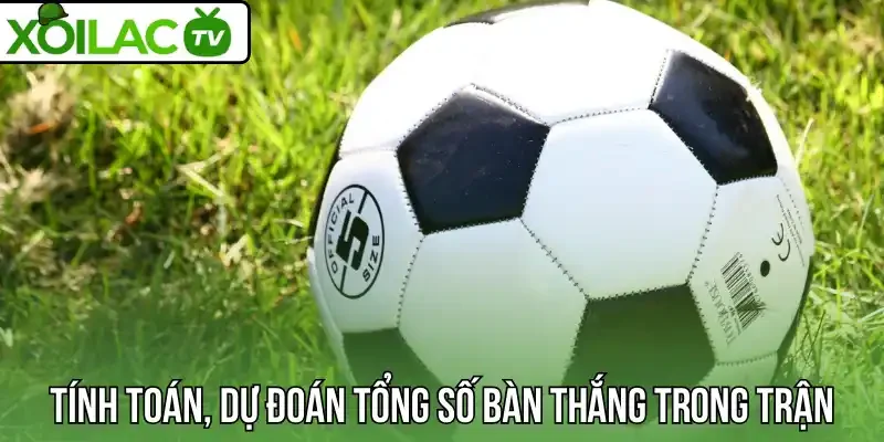 Tính toán, dự đoán tổng số bàn thắng trong trận