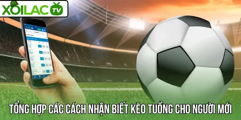 Tổng hợp các cách nhận biết kèo tuồng cho người mới