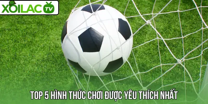 Top 5 hình thức chơi được yêu thích nhất