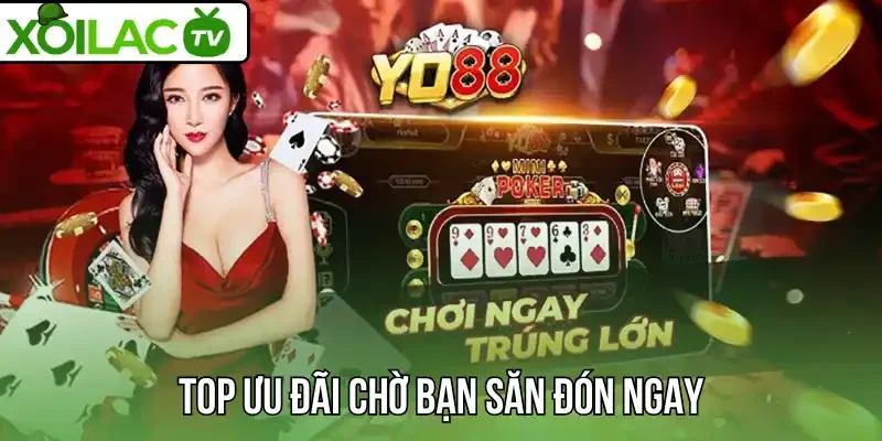 Top ưu đãi chờ bạn săn đón ngay