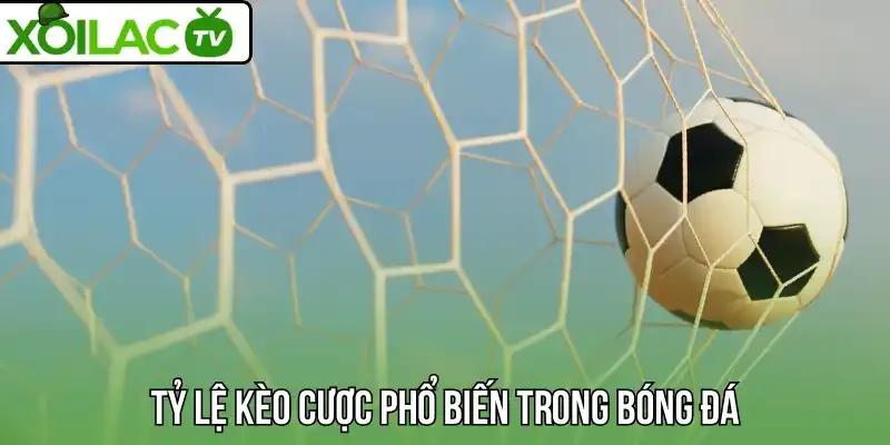 Tỷ lệ kèo cược phổ biến trong bóng đá