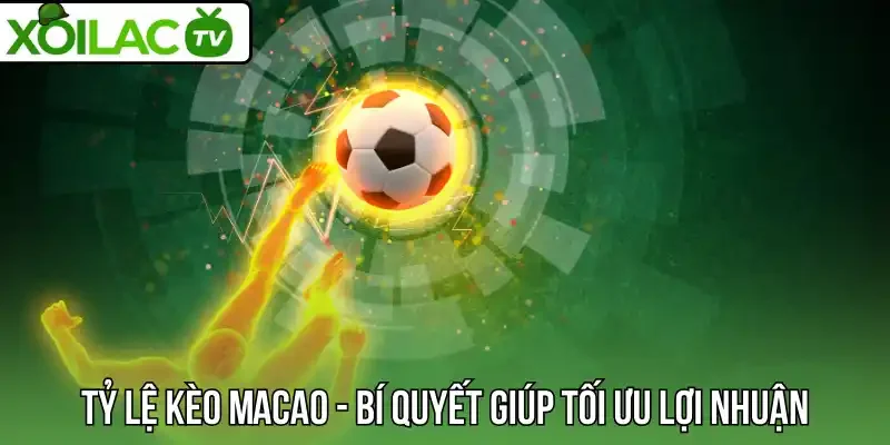 Tỷ lệ kèo Macao - Bí quyết giúp tối ưu lợi nhuận