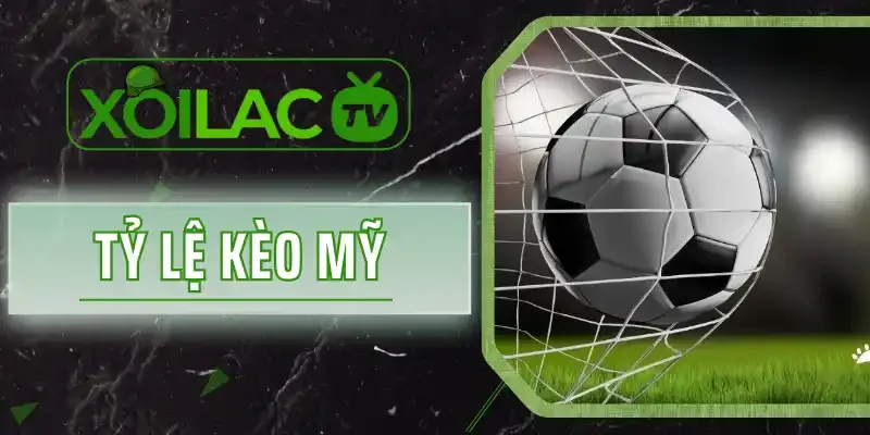 Tỷ Lệ Kèo Mỹ Là Gì? Cách Phân Tích Odds Chốt Cược Chuẩn Sát