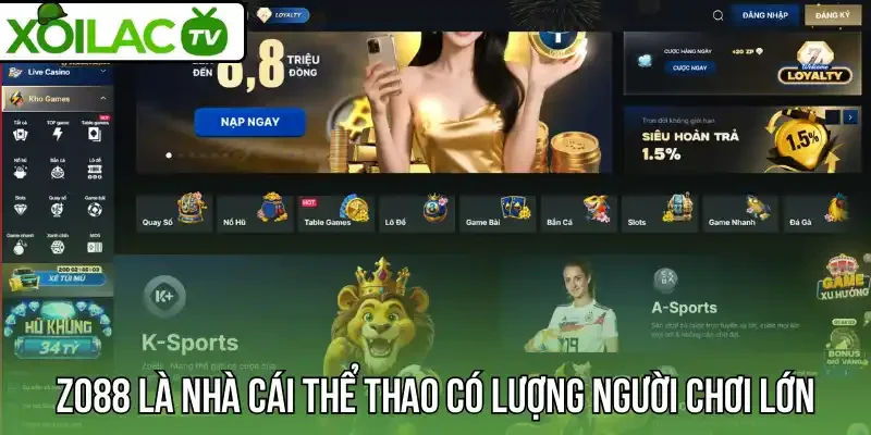 Zo88 là nhà cái thể thao có lượng người chơi lớn