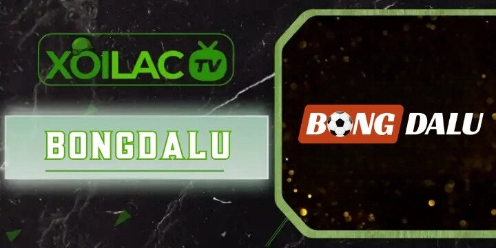 Bongdalu - Sân chơi có tỷ lệ kèo nhà cái xanh chín nhất 2026