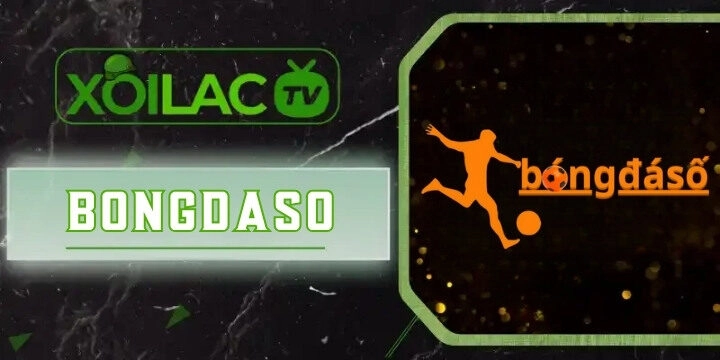 Bongdaso - Trang cung cấp tỷ lệ bóng đá uy tín nhất Việt Nam