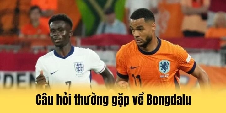 Các câu hỏi thường gặp về trang bongdalu