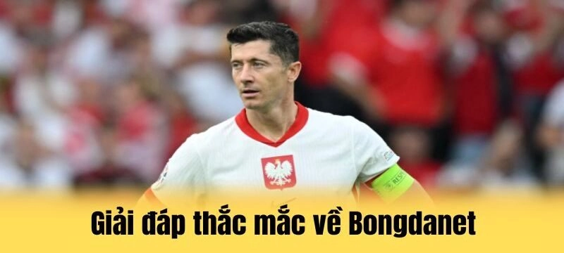 Một vài FAQs về bongdanet thường gặp trong 2026