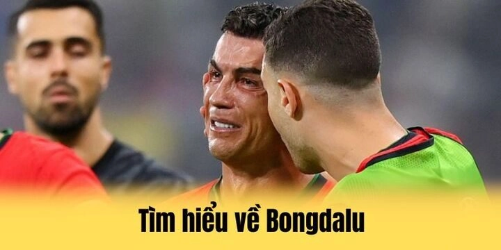 Tìm hiểu nhanh về trang bongdalu là gì