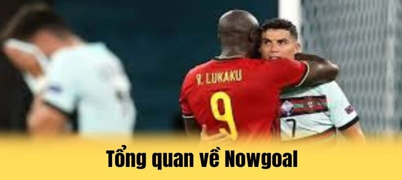 Giới thiệu tổng quan về thể thao nowgoal